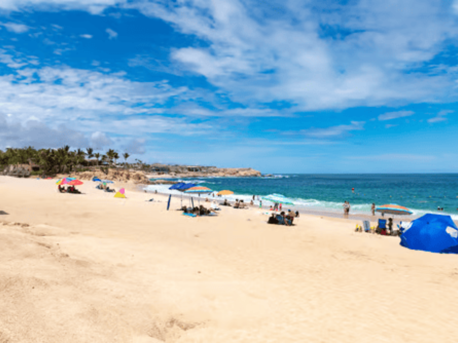 Amazing Day in Cabo