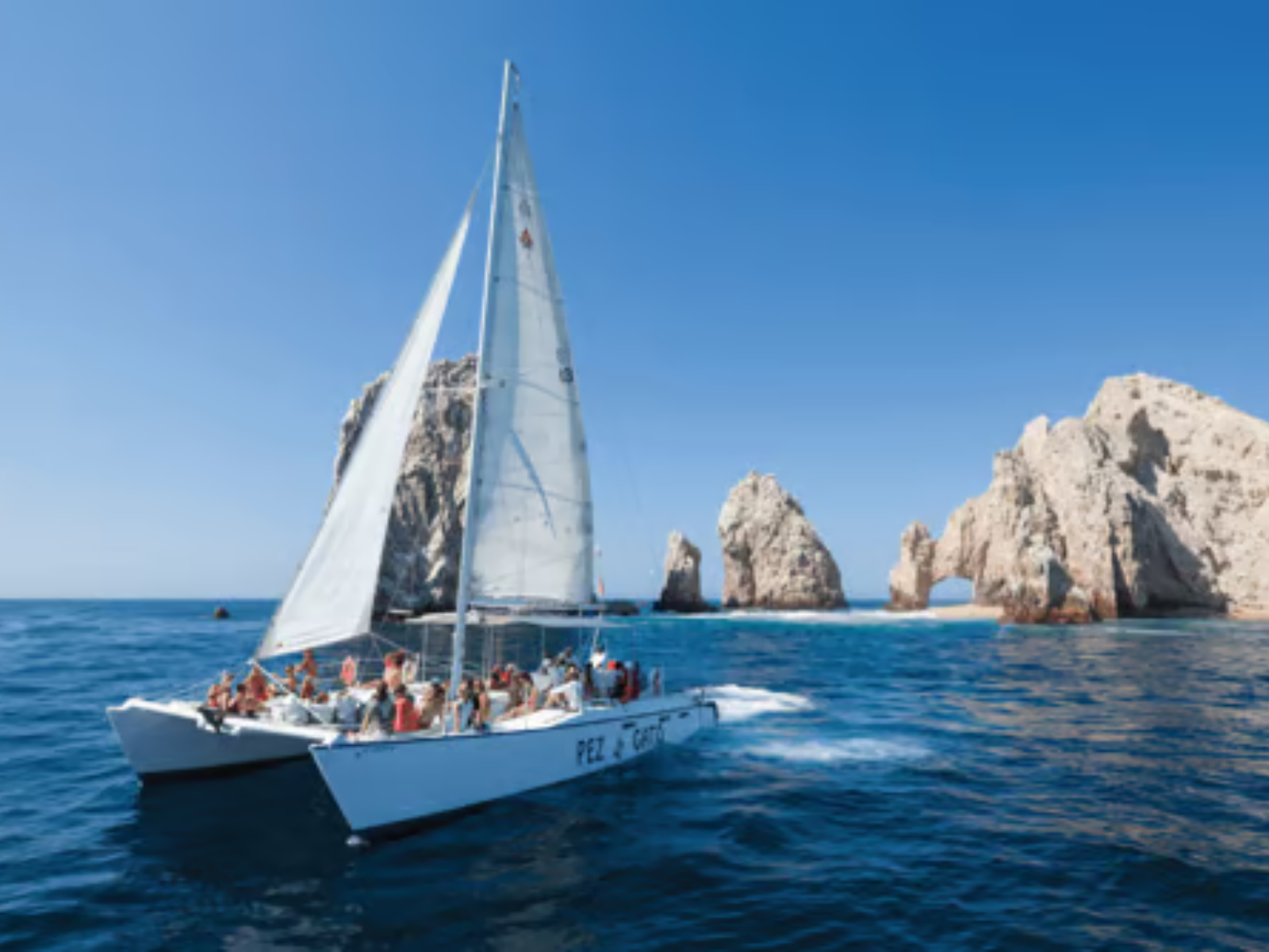 Party Cruise