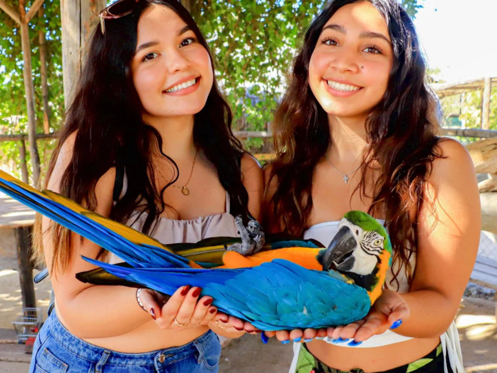 Animal Sanctuary Tour