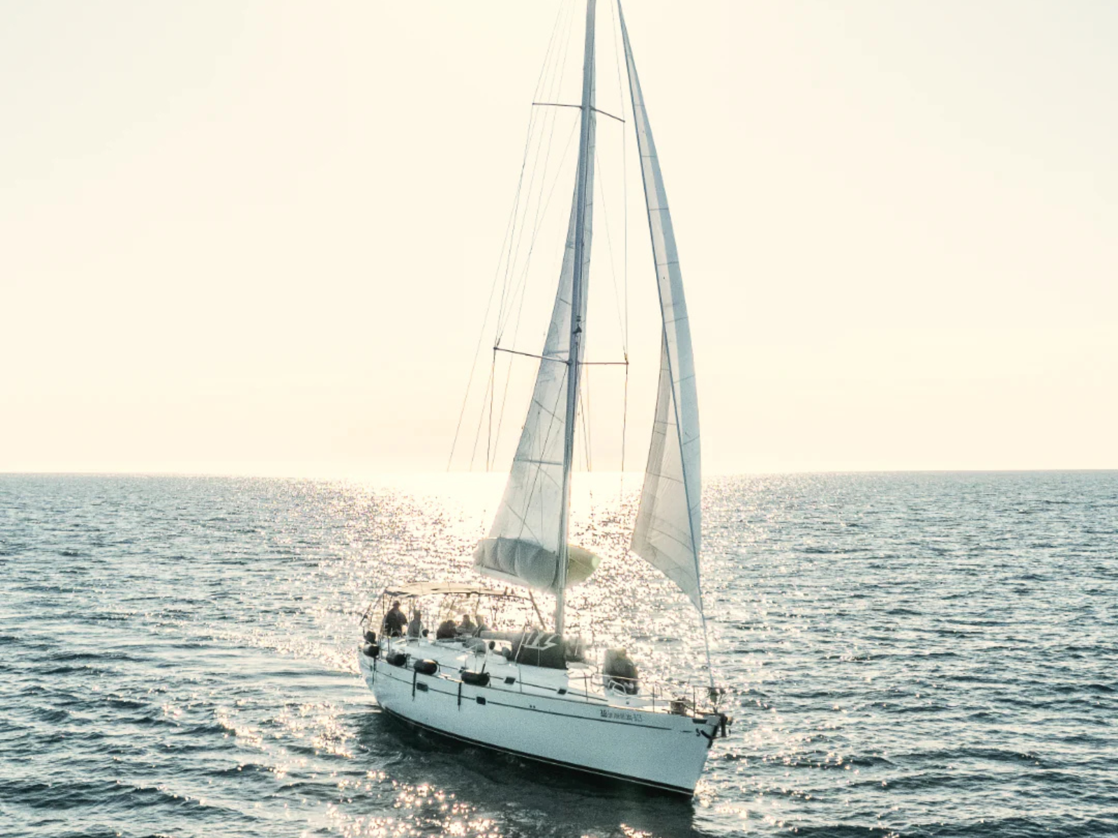 Sunset Whale Watching - Private Sailboat in San José Del Cabo
